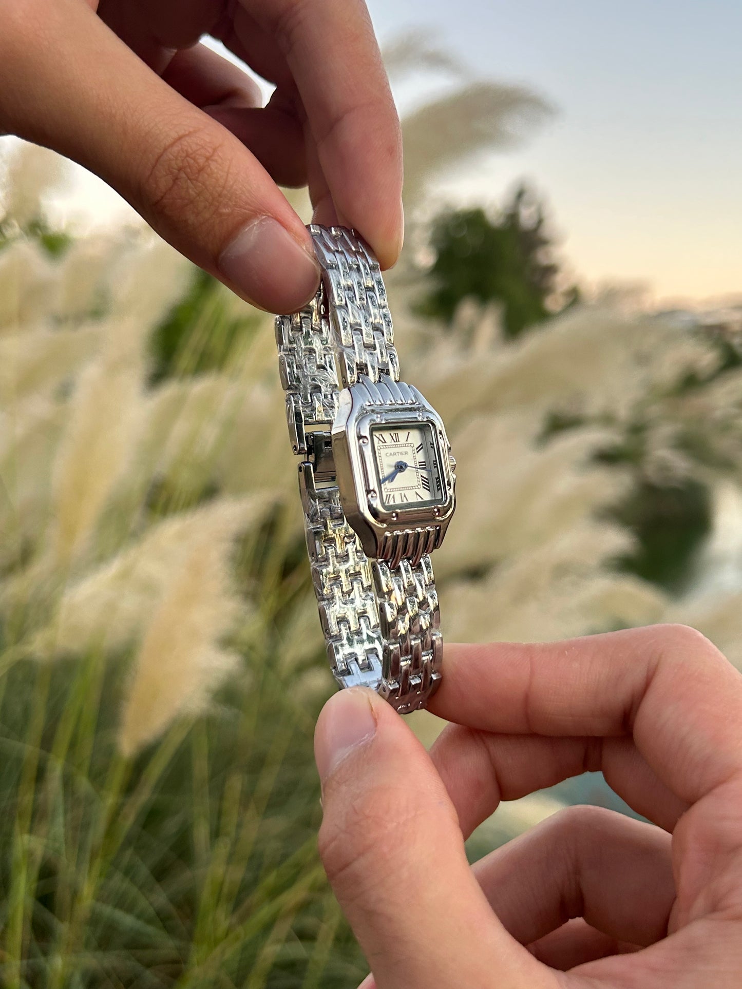 CARTIER PANTHÈRE SILVER